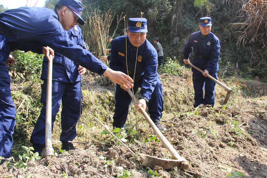 浙江开化消防38年植树为驻地添绿